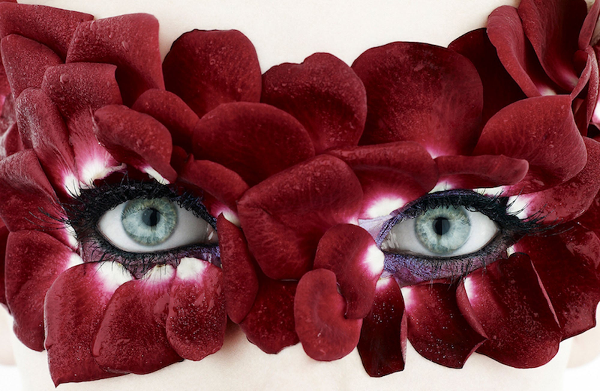 Flower Mask - Petra Gut Contemporary AG Rankin