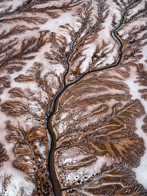 N°TCRDS10 (The Colorado River Delta Series)