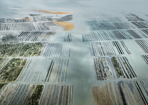 N°TOFS09 (Oyster Farm Series)
