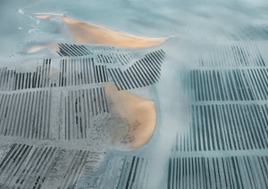 N°TOFS10 (Oyster Farm Series)