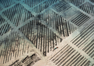 N°TOFS15 (Oyster Farm Series)