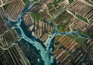 N°TOFS21 (Oyster Farm Series)