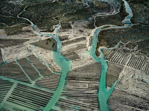 N°TOFS22 (Oyster Farm Series)