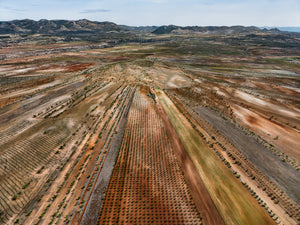 N°TSFSII14 (The Spanish  Farmland Series II, Spain)