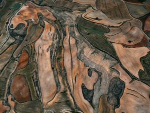 N°TSFSII18 (The Spanish  Farmland Series II, Spain)