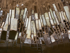 N°TSSIV22 (The Salt Series IV, Senegal)