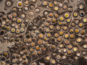 N°TSSIV02 (The Salt Series IV, Senegal)