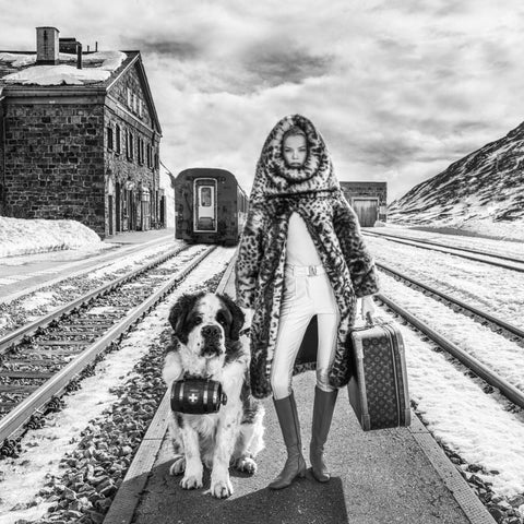 David Yarrow - St. Moritz - 2023