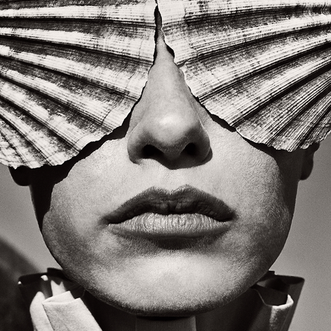 Monika Maroziene – Amber Coast