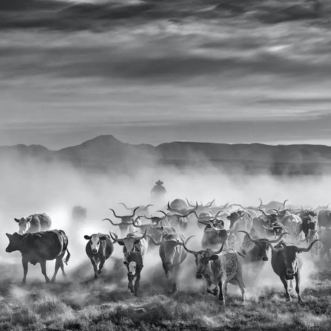 David Yarrow - Solo Show "Change of Perspective"