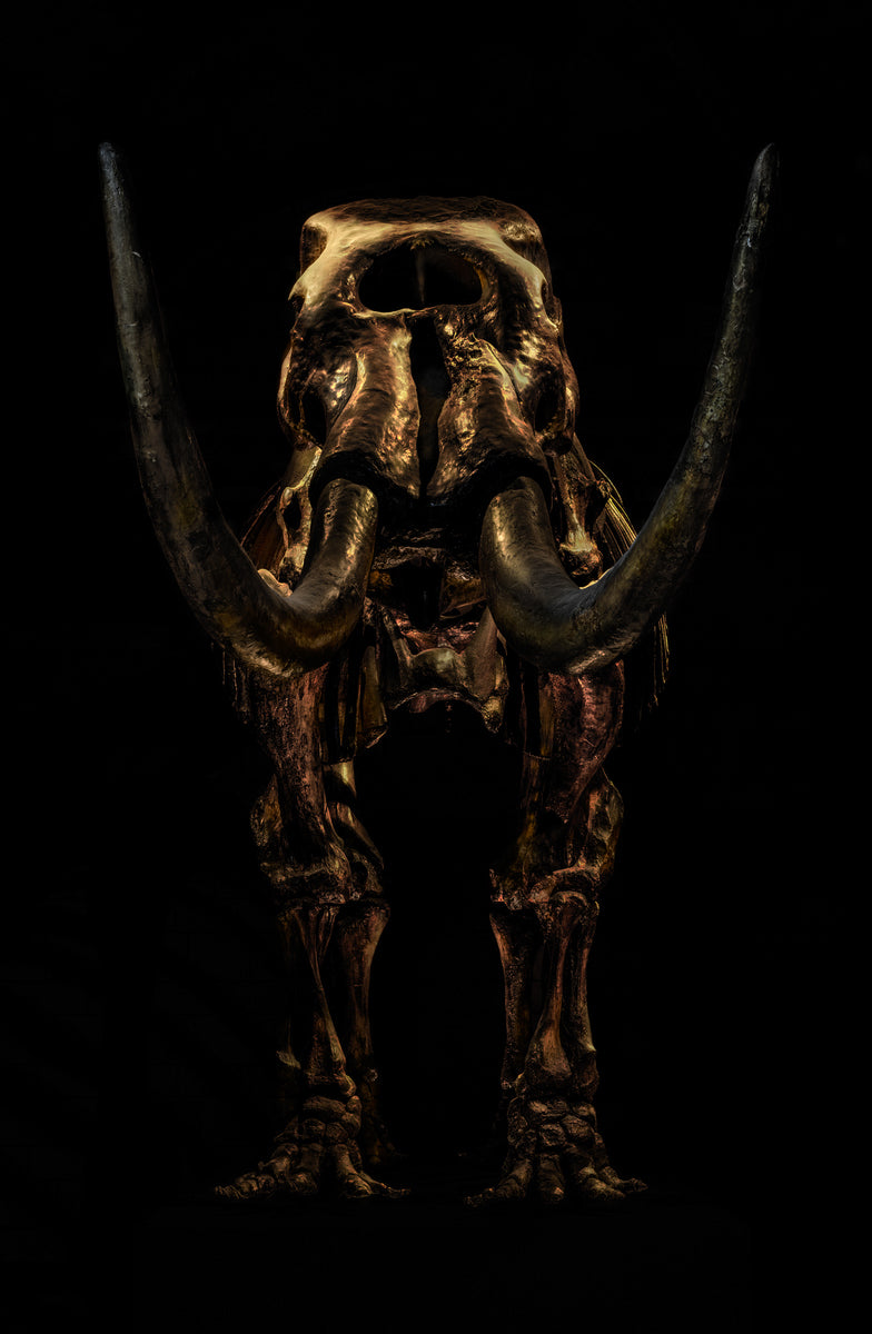 Mastodon by Christian Voigt, limited edition photography