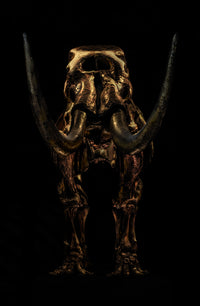 Mastodon