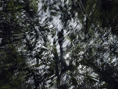 BWA 2024 3869 by Éric Bourret, limited edition photography