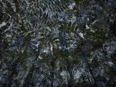 BWA 2024 5235 by Éric Bourret, limited edition photography