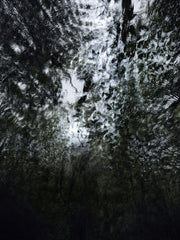 BWA 2024 7290 by Éric Bourret, limited edition photography