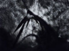 BWA 2024 10007 by Éric Bourret, limited edition photography