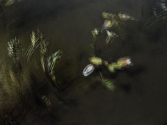 Engiadina September 2019 by Éric Bourret, limited edition photography