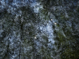 Engiadina September 4753