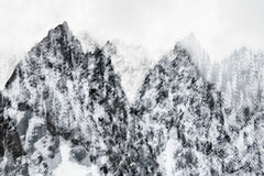 Pangea 2938 by Éric Bourret, limited edition photography