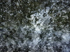 Walking Natura France 2023 1636 by Éric Bourret, limited edition photography