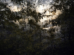 Walking Natura France 2023 1715 by Éric Bourret, limited edition photography