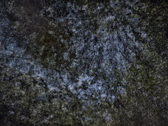 Walking Natura France 2023 4611 by Éric Bourret, limited edition photography