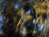 Engiadina 0027