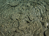 Engiadina 7811
