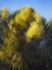 Engiadina 8380 by Éric Bourret, limited edition photography