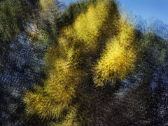 Engiadina 8437 by Éric Bourret, limited edition photography
