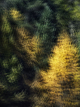 Engiadina 8552