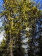 Engiadina 9456 by Éric Bourret, limited edition photography