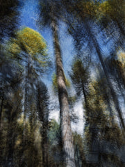 Engiadina 9486 by Éric Bourret, limited edition photography