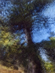 Engiadina 9710 by Éric Bourret, limited edition photography