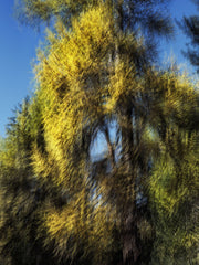 Engiadina 9886 by Éric Bourret, limited edition photography