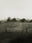 Seestück #1, Lake of Zurich by Patrick Lambertz, limited edition photography