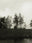 Seestück #5, Lake of Zurich by Patrick Lambertz, limited edition photography
