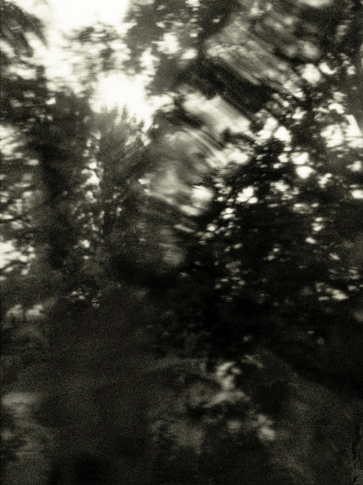 Seestück #6, Lake of Zurich by Patrick Lambertz, limited edition photography