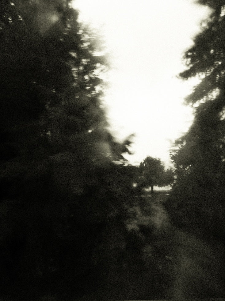 Seestück #7, Lake of Zurich by Patrick Lambertz, limited edition photography