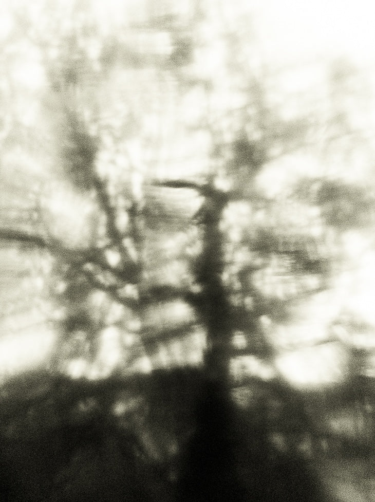 Seestück #8, Lake of Zurich by Patrick Lambertz, limited edition photography