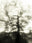 Seestück #8, Lake of Zurich by Patrick Lambertz, limited edition photography
