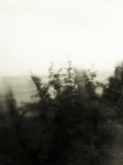 Seestück #9, Lake of Zurich by Patrick Lambertz, limited edition photography