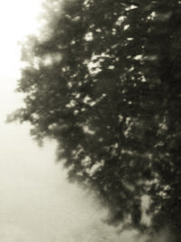 Seestück #16, Lake of Zurich