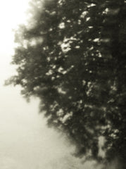 Seestück #16, Lake of Zurich by Patrick Lambertz, limited edition photography