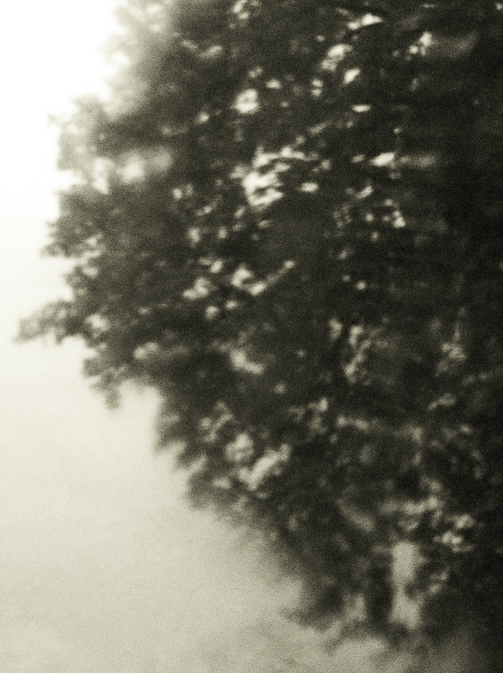 Seestück #16, Lake of Zurich by Patrick Lambertz, limited edition photography