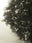 Seestück #16, Lake of Zurich by Patrick Lambertz, limited edition photography