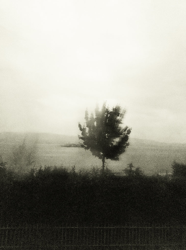 Seestück #19, Lake of Zurich by Patrick Lambertz, limited edition photography
