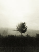 Seestück #19, Lake of Zurich