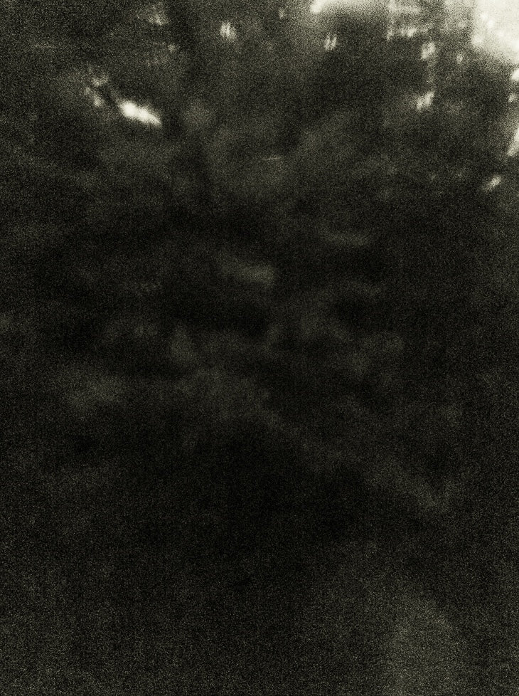 Seestück #20, Lake of Zurich by Patrick Lambertz, limited edition photography