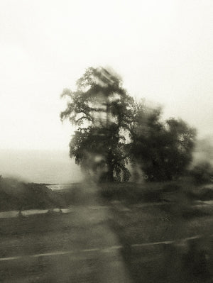 Seestück #25, Lake of Zurich